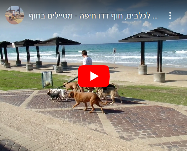פנסיון משפחתי זמיר לכלבים, חוף דדו חיפה - מטיילים בחוף
